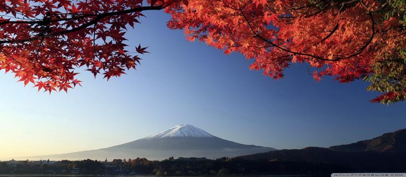 Honeymoon Holidays
