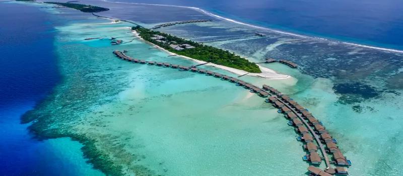 Honeymoon Holidays