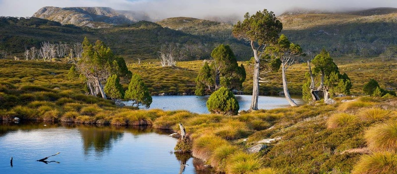 Honeymoon Holidays